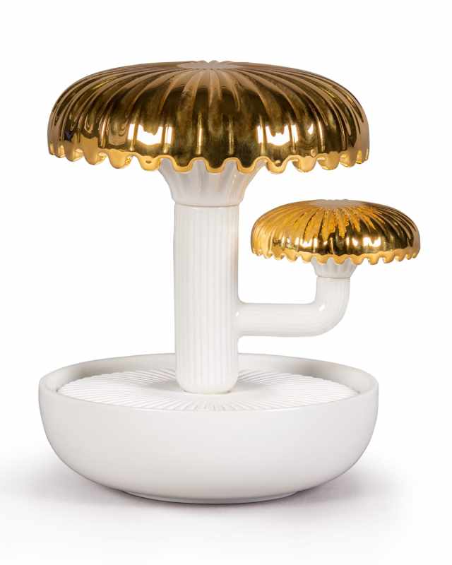 Boletus 2 Night Approaches Diffuser